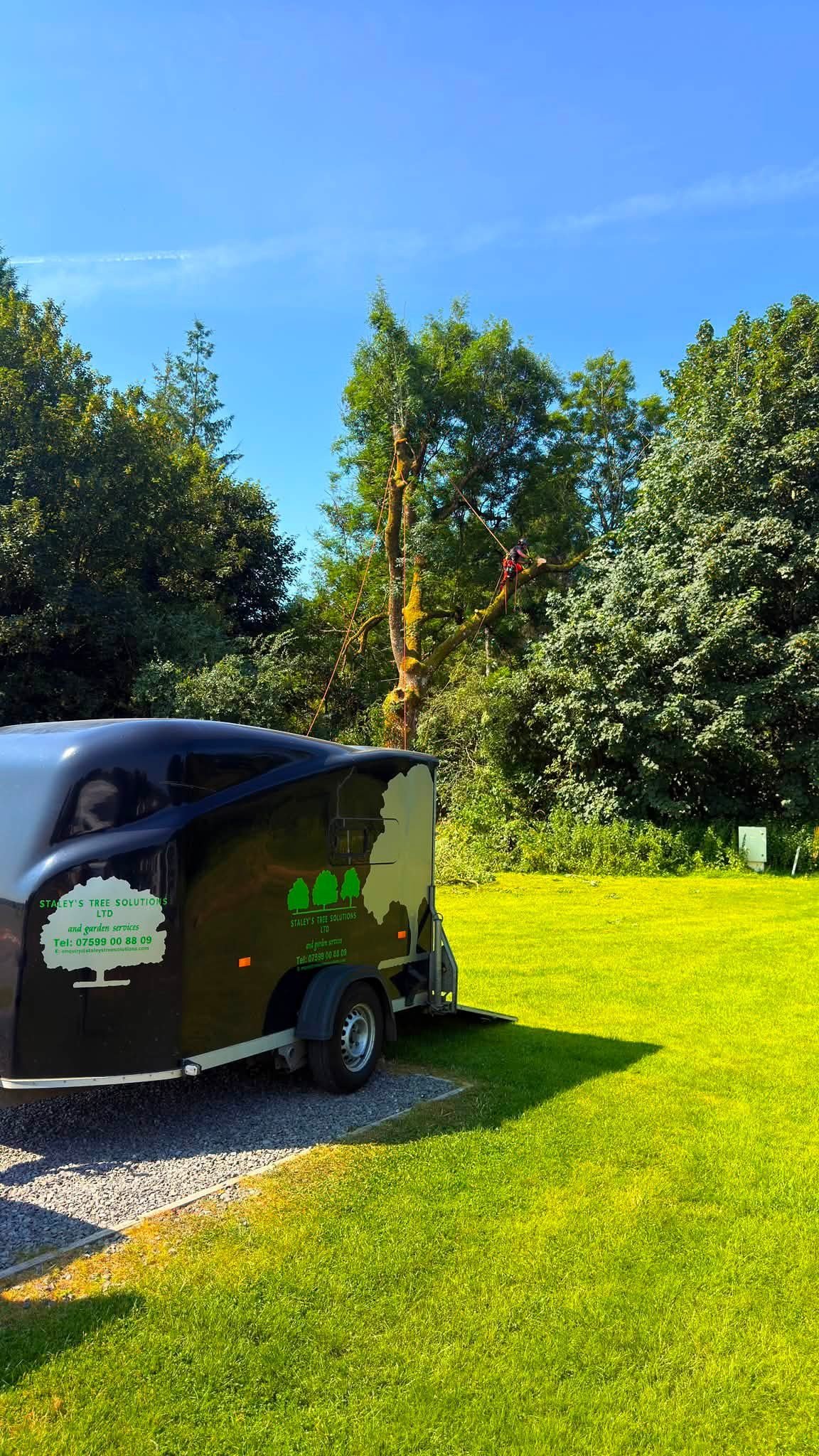 Staleys Tree Solutions trailer and equipment staged on the campsite lawn in Moffat